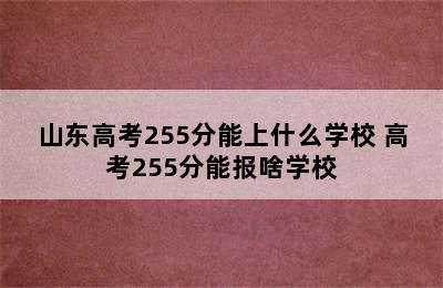 山东高考255分能上什么学校 高考255分能报啥学校